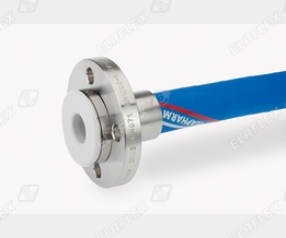 Elapharm EPH 25 with EN 1092-1flange fitting, free of dead spaces